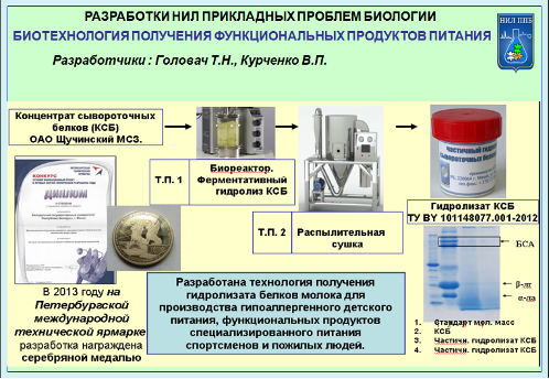 Разработки НИЛ ППБ: биотехнология получения функциональных продуктов питания