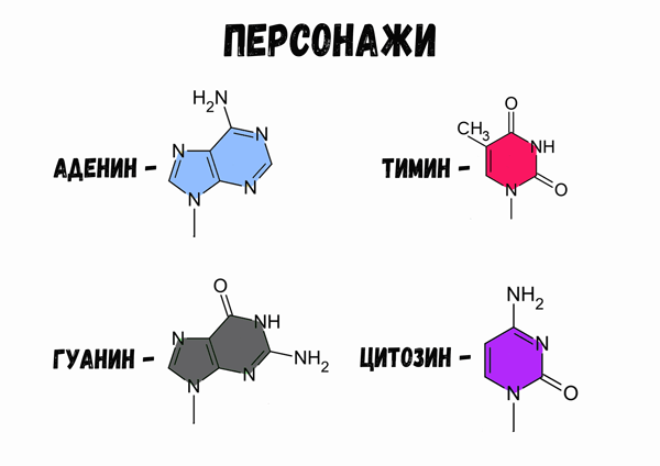 Изображение сценария