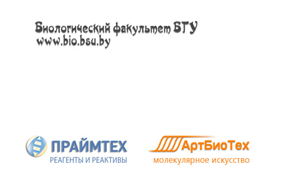 Билет от 15.12.2017