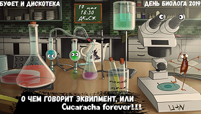 Билет от 17.05.2019