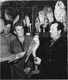 А.К.Титок