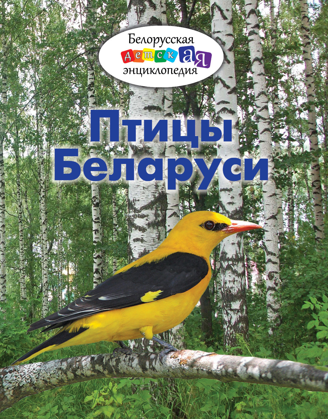 Фото раздела