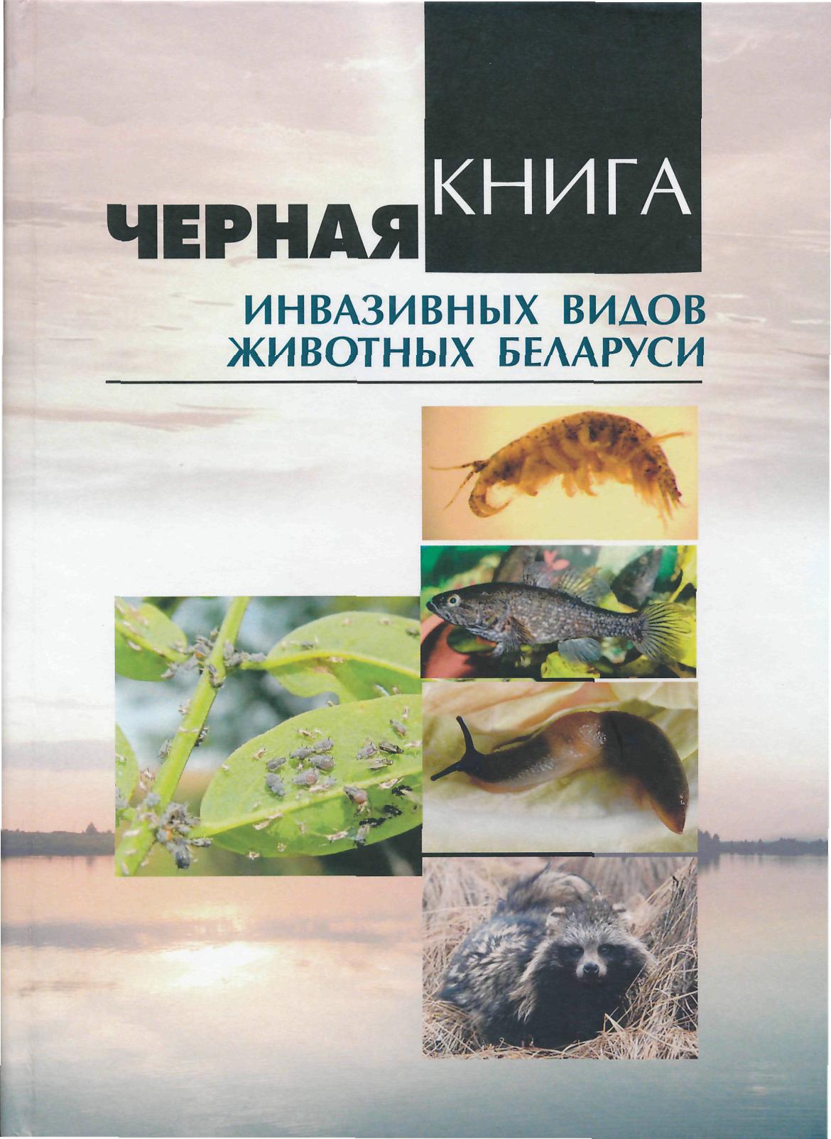 Фото раздела