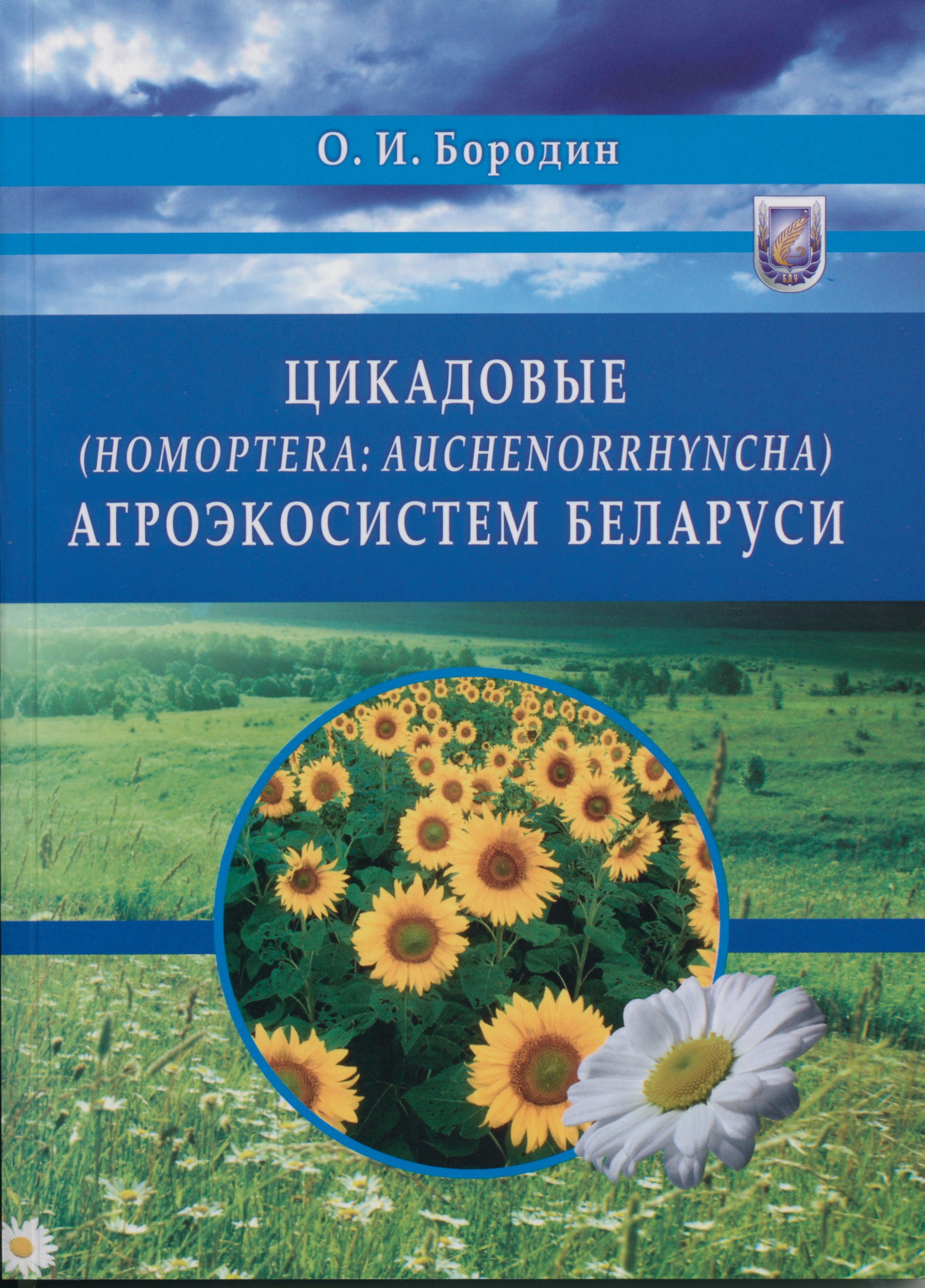 Фото раздела