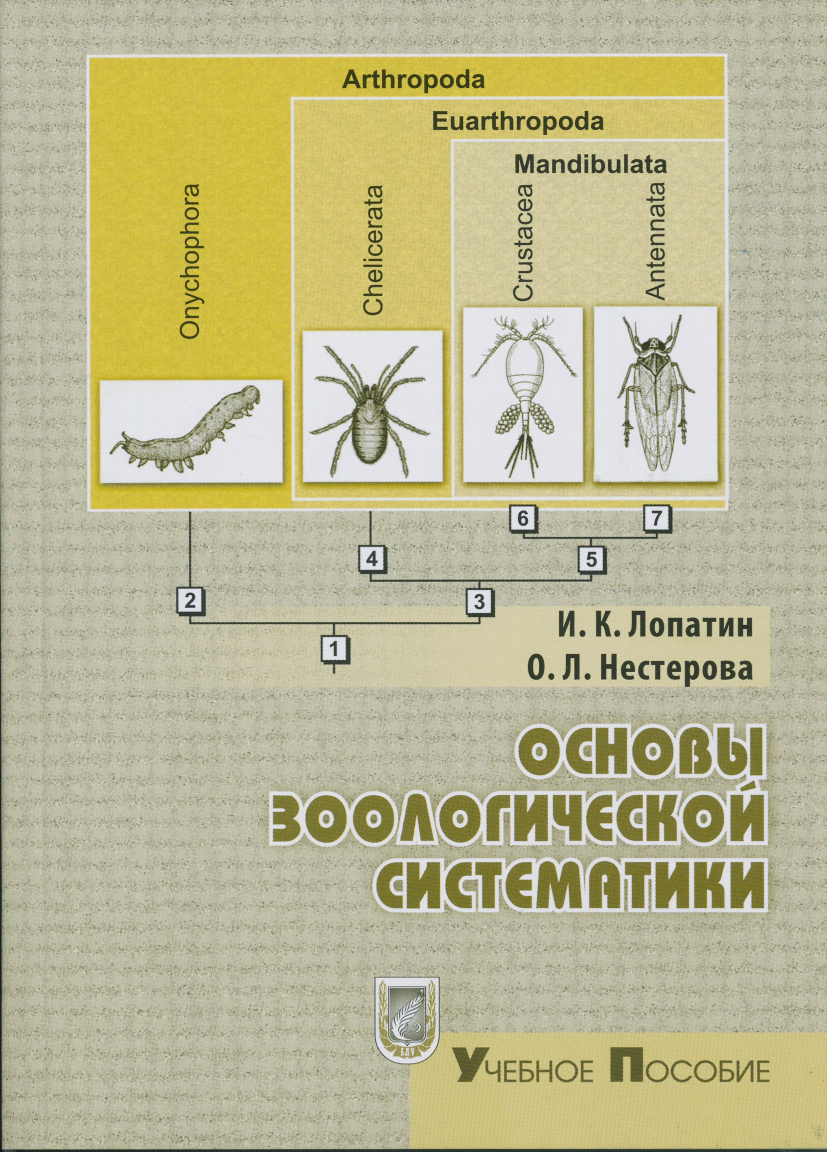 Фото раздела