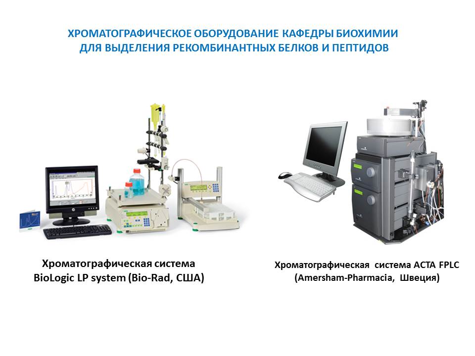 Фото раздела