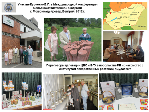 Фото раздела