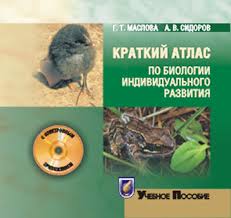 Фото раздела